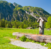 fileadmin/roha/images_galerie/orte_landschaft/Ruhpolding/RUH-LOED-0005-01-D-roha-Ruhpolding-Loedensee-Brunnen-Wasser-Alm.png