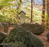 fileadmin/roha/images_galerie/orte_landschaft/Teisendorf/Geo-Park-Lehrpfad/TEI-GEOL-GAR-0021-D-roha-Teisendorf-Geologischer-Garten-Findlinge-Steine-Laub-Herbst.png