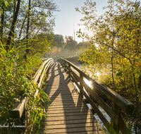 fileadmin/roha/images_galerie/wege/WEGE-HOEGLW-0022-D-roha-Steg-Weg-Hoeglwoerther-See-Herbst-Stimmung.png