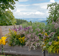 fileadmin/roha/images_galerie/brauchtum/Kraeuterbuschen/BR-KRAEUT-ANG-2018-0004-D-roha-Brauchtum-Kirche-Kraeuter-Buschen-binden-Blumen.png