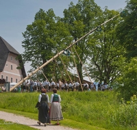 fileadmin/roha/images_galerie/brauchtum/Maibaum/erste-Seite/BR-MAIB-HOEGLW-0001-D-roha-Brauchtum-Maibaum-Anger-Hoeglwoerth.jpg