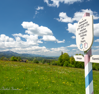 fileadmin/roha/images_galerie/orte_landschaft/Teisendorf/Neukirchen/LANDA-GRENZE-0014-D-roha-Landart-Grenze-Bayern-Chiemgau-Salzburg-Rupertiwinkel-historisch-Teisendorf-Siegsdorf.png