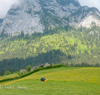 fileadmin/roha/images_galerie/Landwirtschaft/LANDW-MASCH-MAEH-RA-0010-D-roha-Landwirtschaft-Ramsau-Berchtesgaden-Reiter-Alpe-Scheffaulehen-Traktor-Maehen.png