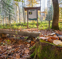 fileadmin/roha/images_galerie/orte_landschaft/Laufen/Osinger-Wald/LAUF-OSI-WA-0001-1223-D-roha-Laufen-Osinger-Wald-Lehrpfad-Hinweistafel.png