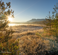 fileadmin/roha/images_galerie/orte_landschaft/Ainring/SO-AU-AIN-MOOR-0001-0800-D-roha-Sonnenaufgang-Ainring-Moor-See.png