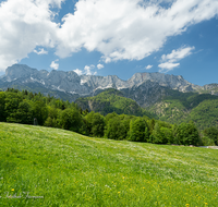 fileadmin/roha/images_galerie/orte_landschaft/Berchtesgaden/Marktschellenberg-Ettenberg/BGD-MARKT-SCHEL-LAN-0010-D-roha-Berchtesgaden-Marktschellenberg-Untersberg-Blumenwiese.png