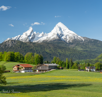 fileadmin/roha/images_galerie/orte_landschaft/Berchtesgaden/Watzmann/BGD-WATZ-0008-07-D-roha-Berchtesgaden-Watzmann-Bischofswiesen.png