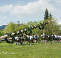 fileadmin/roha/images_galerie/brauchtum/Maibaum/Anger-Hoeglwoerth/BR-MAIB-ANG-2017-1355-01-D-roha-Brauchtum-Maibaum-Anger.png