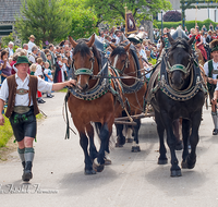 fileadmin/roha/images_galerie/brauchtum/Leonhardiritt/Holzhausen_01/BR-PFRI-HOLZ-0202-D-roha-Brauchtum-Pferdeumritt-Holzhausen-Teisendorf-Leonhardiritt-Pferd-Gespann.png