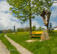 fileadmin/roha/images_galerie/kirche_religion/Ainring-Kreuzweg/KKKM-AINR-KR-09-0018-3-D-roha-Kreuzweg-Ainring-Ulrichshoegl-Kirche-Fruehling-Weg.png