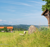 fileadmin/roha/images_galerie/kirche_religion/Kirchanschoering/KKKM-KIRCHA-KIRCHST-0001-D-roha-Wegkreuz-Kirchanschoering-Kirchstein-Linde.png