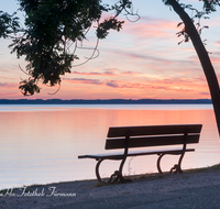 fileadmin/roha/images_galerie/Zaun-Bank/SON-UN-CHIEM-0070-D-roha-Sonne-Sonnenuntergang-Chiemsee-Chieming-Wasser-Bank.png