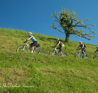 fileadmin/roha/images_galerie/Freizeit-Sport/Mountainbike-Radfahren/SPO-MOUN-ANG-0019-0927-02-D-roha-Sport-Mountainbike-Radfahren-Anger.png