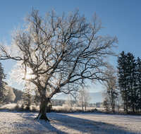 fileadmin/roha/images_galerie/stimmung-Sonne/STIM-ANG-STEINH-WI-0002-D-roha-Stimmung-Anger-Sonne-Winter.png