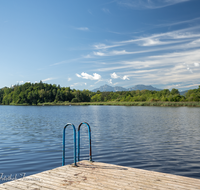 fileadmin/roha/images_galerie/orte_landschaft/Abtsdorf-Abtsdorfer-See/ABTS-SEE-BADE-0006-01-D-roha-Abtsdorfer-See-Steg-Hochstaufen-Zwiesel.png