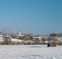 fileadmin/roha/images_galerie/orte_landschaft/Abtsdorf-Abtsdorfer-See/ABTS-WI-0004-D-roha-Abtsdorf-Winter-Baum-Haarmoos.png