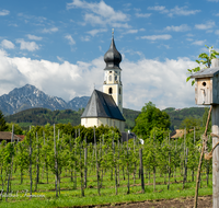 fileadmin/roha/images_galerie/orte_landschaft/Ainring/AINR-FELDK-0016-D-roha-Ainring-Feldkirchen-Hochstaufen.png