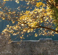 fileadmin/roha/images_galerie/orte_landschaft/Bad_Reichenhall/BAD-REI-BURG-KAR-0008-D-roha-Bad-Reichenhall-Karlstein-Burg-Mauer.png