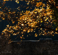 fileadmin/roha/images_galerie/orte_landschaft/Bad_Reichenhall/BAD-REI-BURG-KAR-0008-D-roha-Bad-Reichenhall-Karlstein-Burg-Mauer.png