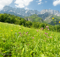 fileadmin/roha/images_galerie/orte_landschaft/Berchtesgaden/Marktschellenberg-Ettenberg/BGD-MARKT-SCHEL-LAN-0011-D-roha-Berchtesgaden-Marktschellenberg-Untersberg-Blumenwiese.png