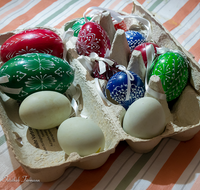 fileadmin/roha/images_galerie/brauchtum/Ostern/BR-OST-EIER-AN-0001-1505-01-D-roha-Brauchtum-Osterei.png