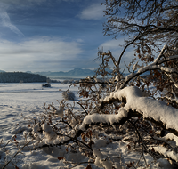 fileadmin/roha/images_galerie/orte_landschaft/Haarmoos/HAARM-WI-0043-D-M-roha-Abtsdorf-Haarmoos-Winter-Panorama.png