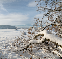 fileadmin/roha/images_galerie/orte_landschaft/Haarmoos/HAARM-WI-0043-D-M-roha-Abtsdorf-Haarmoos-Winter-Panorama.png