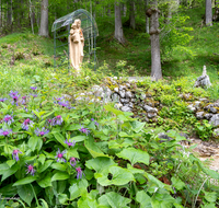 fileadmin/roha/Interessantes-in-Kurzform/ab-5-2022/KKKM-BGD-ALM-0005-D-roha-Statue-Mutter-Gottes-Maria-Almbachklamm-Untersberg.png