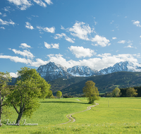 fileadmin/roha/images_galerie/orte_landschaft/Anger/Anger/Anger-Landschaft/LANDS-ANG-STEINH-0001-01-D-roha-Landschaft-Anger-Steinhoegl-Hochstaufen-Weg-Fruehling.png