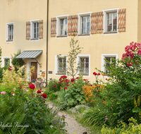 fileadmin/roha/images_galerie/dies_das/LAUF-STIFTSK-GART-0003-D-roha-Laufen-Stiftskirche-Garten-Blumen-Weg.png