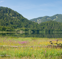 fileadmin/roha/images_galerie/orte_landschaft/Reit_im_Winkl/REIT-IM-WI-WEITS-0013-06-D-roha-Reit-im-Winkl-Weitsee-Herbst-Wasser-See-Mountainbike-Blumenwiese.png