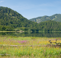 fileadmin/roha/images_galerie/orte_landschaft/Reit_im_Winkl/REIT-IM-WI-WEITS-0013-06-D-roha-Reit-im-Winkl-Weitsee-Herbst-Wasser-See-Mountainbike-Blumenwiese.png