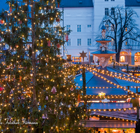 fileadmin/roha/images_galerie/brauchtum/Weihnachten/Christkindlmarkt-Salzburg/SA-CHRISTK-0008-D-roha-Salzburg-Christkindlmarkt-Residenzplatz-Buden-Christbaum.png