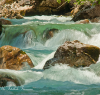 fileadmin/roha/images_galerie/wasser/WAS-WILDB-ZAUB-0013-D-roha-Wasser-Wildbach-Ramsauer-Ache-Zauberwald.png