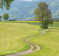 fileadmin/roha/images_galerie/wege/WEGE-ANG-STEINH-0001-D-roha-Weg-Strasse-Anger-Steinhoegl-Fruehling-Wiese.png