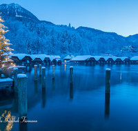 fileadmin/roha/images_galerie/orte_landschaft/Berchtesgaden/Koenigssee/BGD-KOE-SEELAEN-NA-2016-1646-01-D-roha-Berchtesgaden-Koenigssee-Seelaende-Nacht-Christbaum-Winter.png