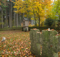 fileadmin/roha/images_galerie/kirche_religion/Laufen_-_Leobendorf/KKKM-LAUF-LEOB-UKR-0008-D-roha-Friedhof-Laufen-Leobendorf-Ukrainer-Kreuz-Gedenktafel-Herbst-Wald.png