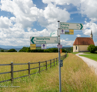 fileadmin/roha/images_galerie/dies_das/LANDS-TACH-COL-0002-D-roha-Landschaft-Tachinger-See-St-Coloman-Wegweiser-Radweg.png