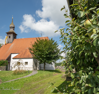 fileadmin/roha/images_galerie/orte_landschaft/Saaldorf/SAAL-SURH-HAB-0011-D-roha-Saaldorf-Surheim-Neu-Haberland-Kirche-Nikolaus-Birnbaum.png