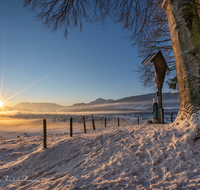 fileadmin/roha/images_galerie/stimmung-Sonne/Sonnenaufgang/SO-AU-TEIS-0003-0809-D-M-roha-Sonnenaufgang-Teisendorf-Schelmberg-Wegkreuz.png