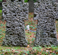 fileadmin/roha/images_galerie/kirche_religion/Laufen_-_Leobendorf/KKKM-LAUF-LEOB-UKR-0017-D-roha-Friedhof-Laufen-Leobendorf-Ukrainer-Kreuz-Gedenktafel-Herbst-Wald.png