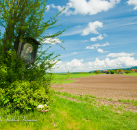 fileadmin/roha/images_galerie/orte_landschaft/Saaldorf/SAAL-BRUENNTH-0001-D-roha-Saaldorf-Bruennthal-Maria-Bildnis-Fruehling.png