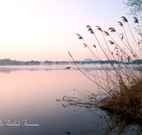 fileadmin/roha/images_galerie/orte_landschaft/Abtsdorf-Abtsdorfer-See/STIM-ABTS-SEE-0008-D-roha-Stimmung-Abtsdorf-See-Sonnenaufgang-Nebel.png