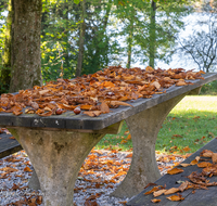 fileadmin/roha/images_galerie/Zaun-Bank/ABTS-SEE-STIM-HER-0001-0-05-D-roha-Abtsdorfer-See-Herbst-Laub-Tisch-Stimmung-Kastanie.png