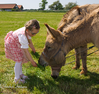 fileadmin/roha/images_galerie/brauchtum/Leonhardiritt/Holzhausen_01/Eselrennen/BR-PFRI-HOLZ-ESELR-0001-1-D-roha-Brauchtum-Holzhausen-Eselrennen.png