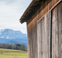 fileadmin/roha/images_galerie/dies_das/LANDA-STAD-SILL-0001-D-roha-Landart-Stadel-Zwiesel-Sillersdorf-Fruehling.png