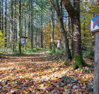 fileadmin/roha/images_galerie/orte_landschaft/Laufen/Osinger-Wald/LAUF-OSI-WA-0001-1143-02-D-roha-Laufen-Osinger-Wald-Herbst-Schild.png