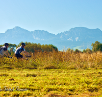 fileadmin/roha/images_galerie/orte_landschaft/Saaldorf/SPO-MOUN-HAARM-0012-D-roha-Sport-Mountainbike-Haarmoos-Stadel-Saaldorf-Leobendorf-Laufen-Hochstaufen.png