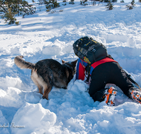 fileadmin/roha/images_galerie/Bergwacht/BERGW-UEB-PRED-2020-1300-02-D-roha-Bergwacht-Uebung-Predigtstuhl-Hund-Winter.png