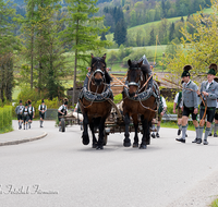 fileadmin/roha/images_galerie/brauchtum/Maibaum/Anger-Hoeglwoerth/BR-MAIB-ANG-2017-1305-02-D-roha-Brauchtum-Maibaum-Anger-Pferdegespann.png